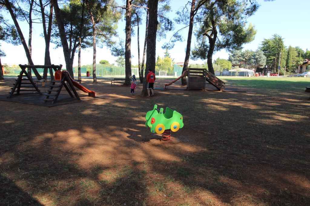 Photo of Others in Novigrad