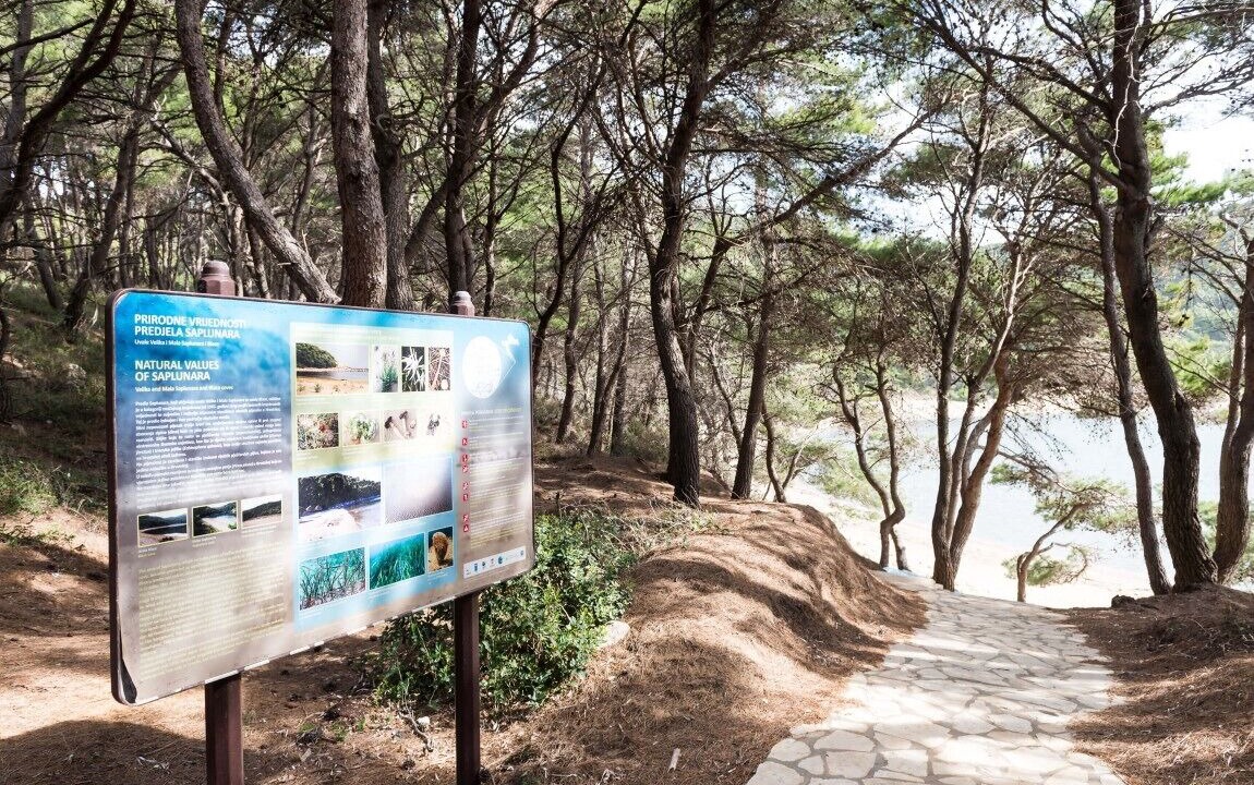 Photo of Outdoor in Saplunara