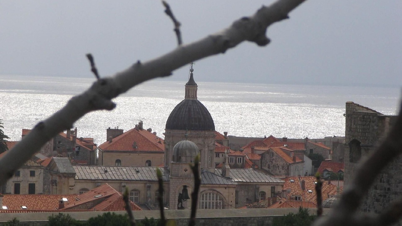 Photo of Others in Municipality of Dubrovnik
