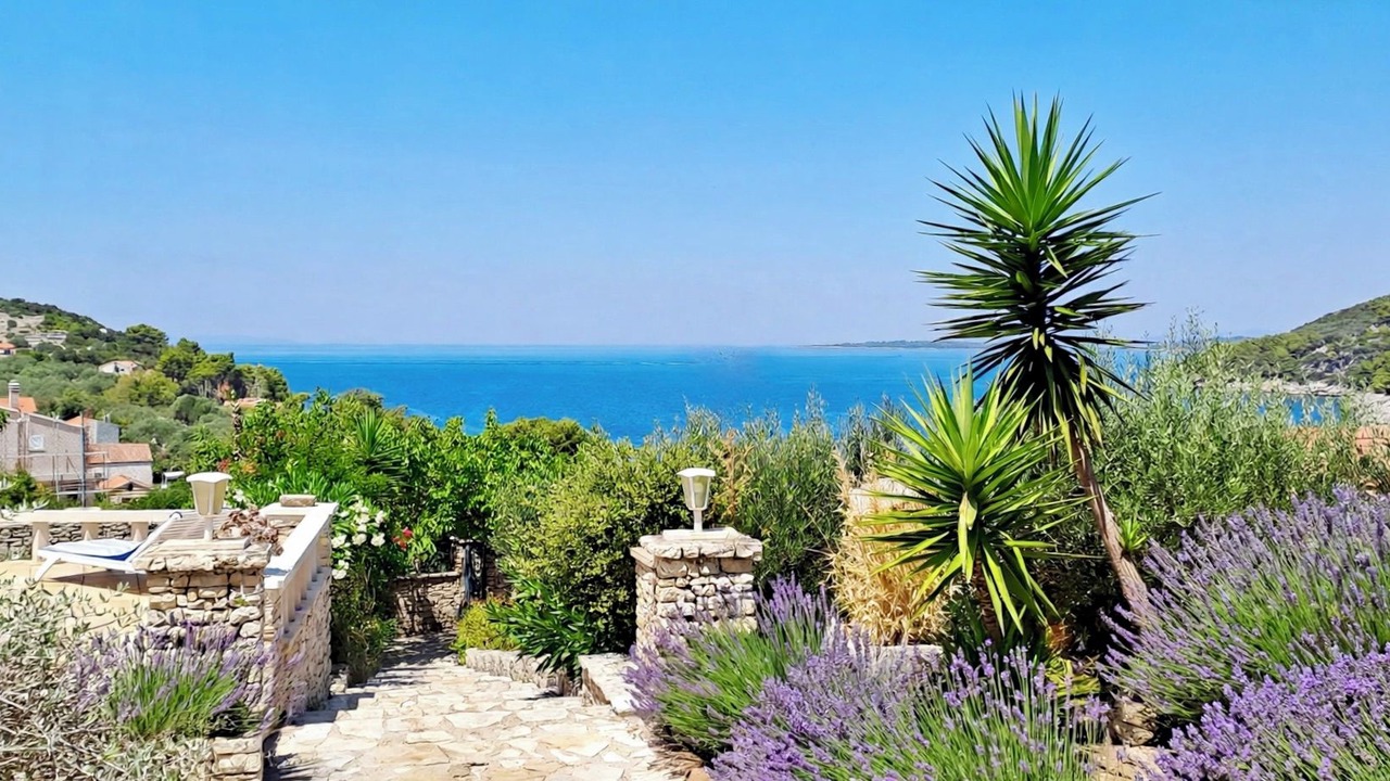 Photo of Outdoor in Vela Luka