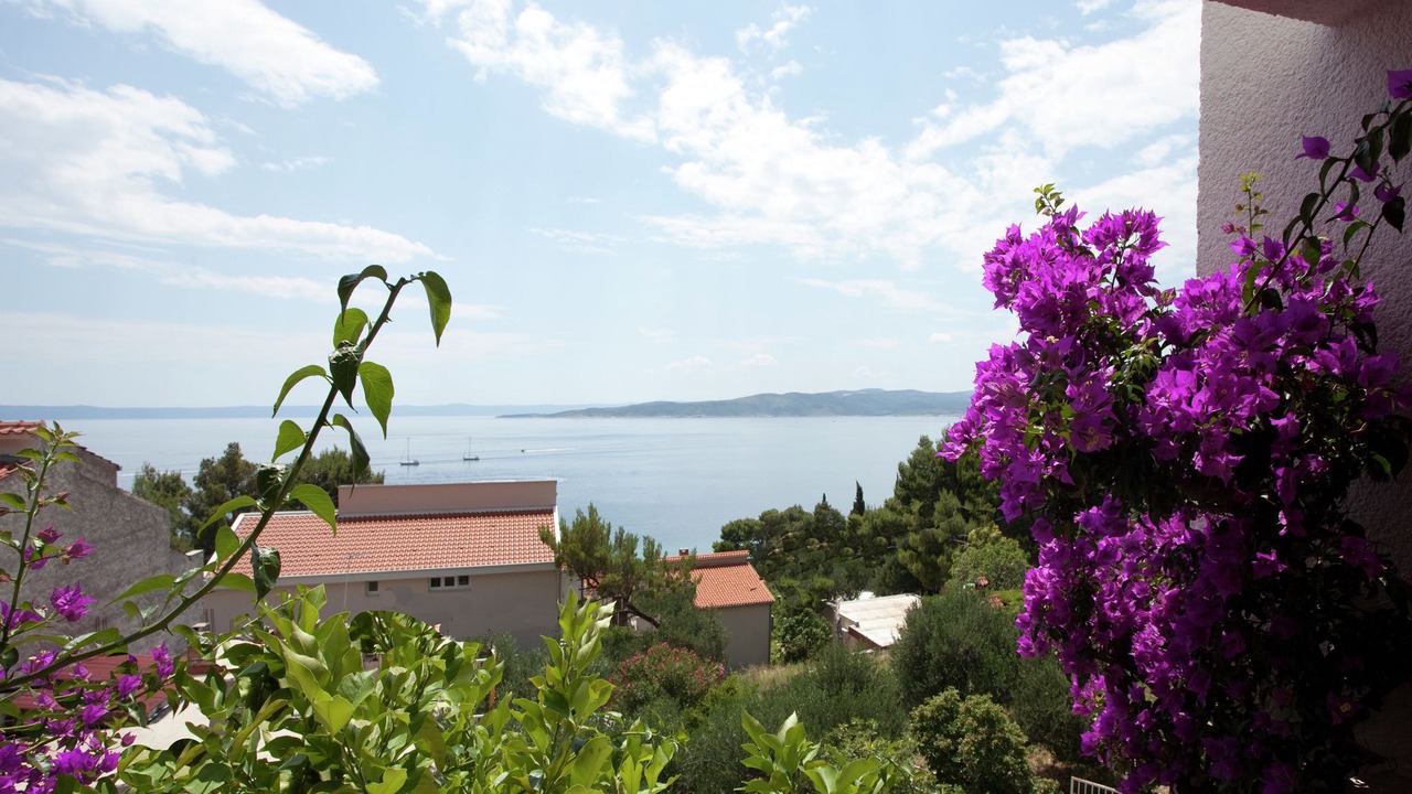 Photo of Others in Baska Voda