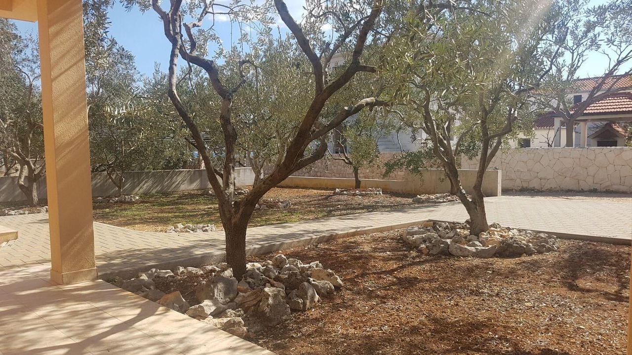 Photo of Outdoor in Sevid