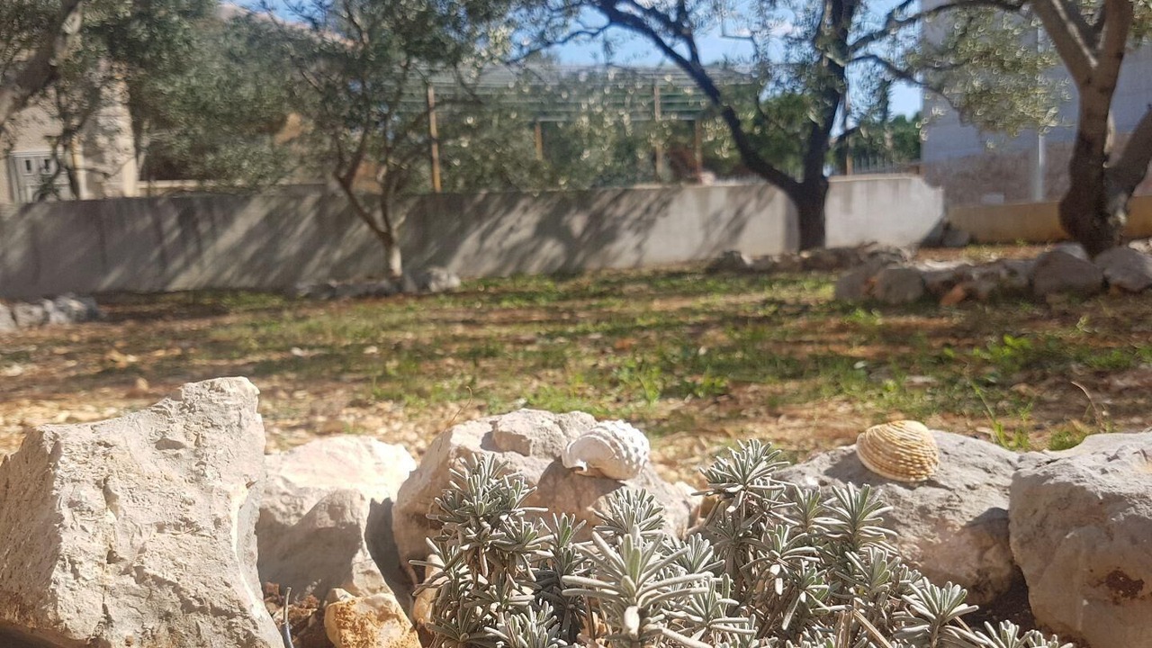 Photo of Outdoor in Sevid