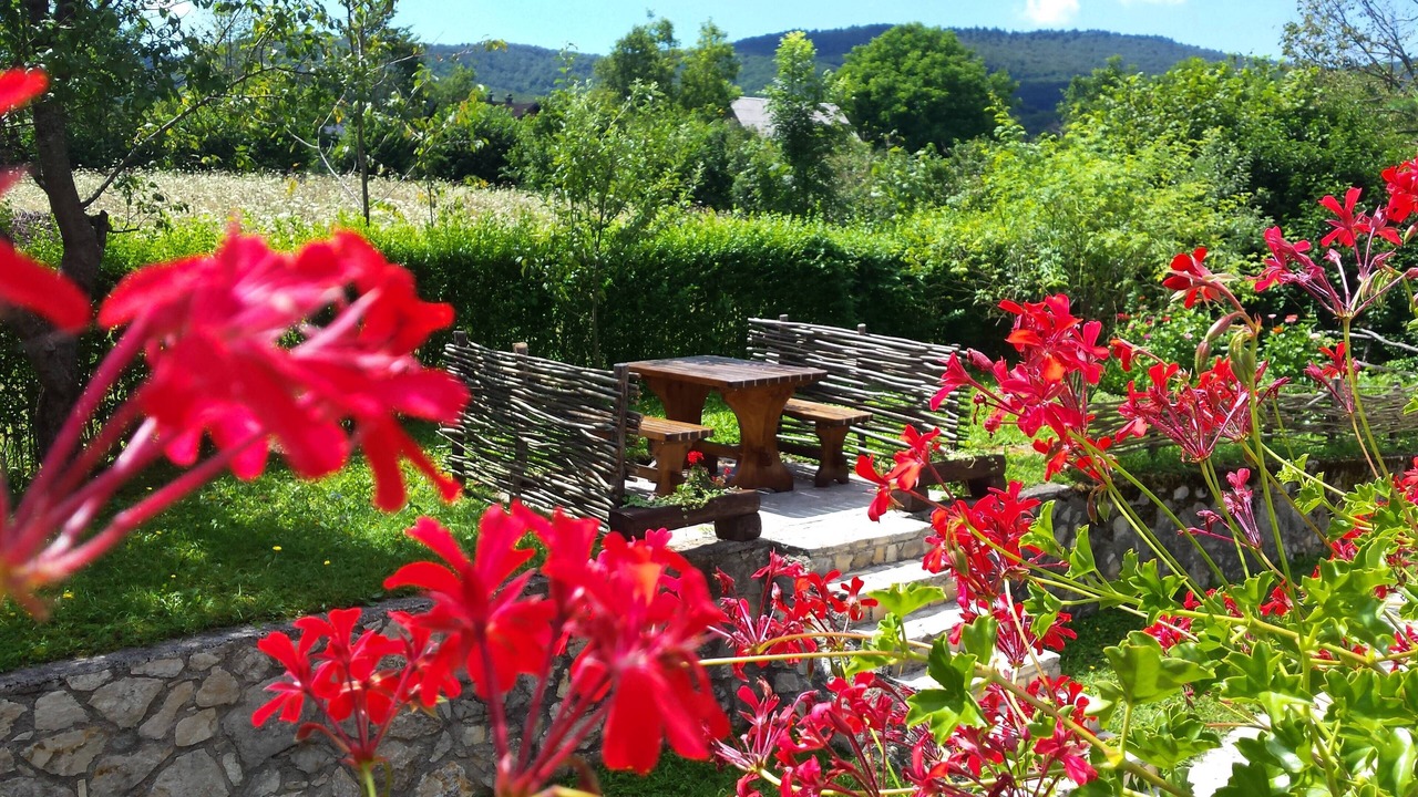 Photo of Outdoor in Seliste