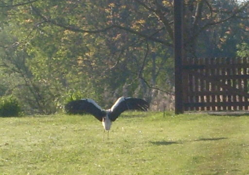 Photo of Outdoor in Sisak-Moslavina