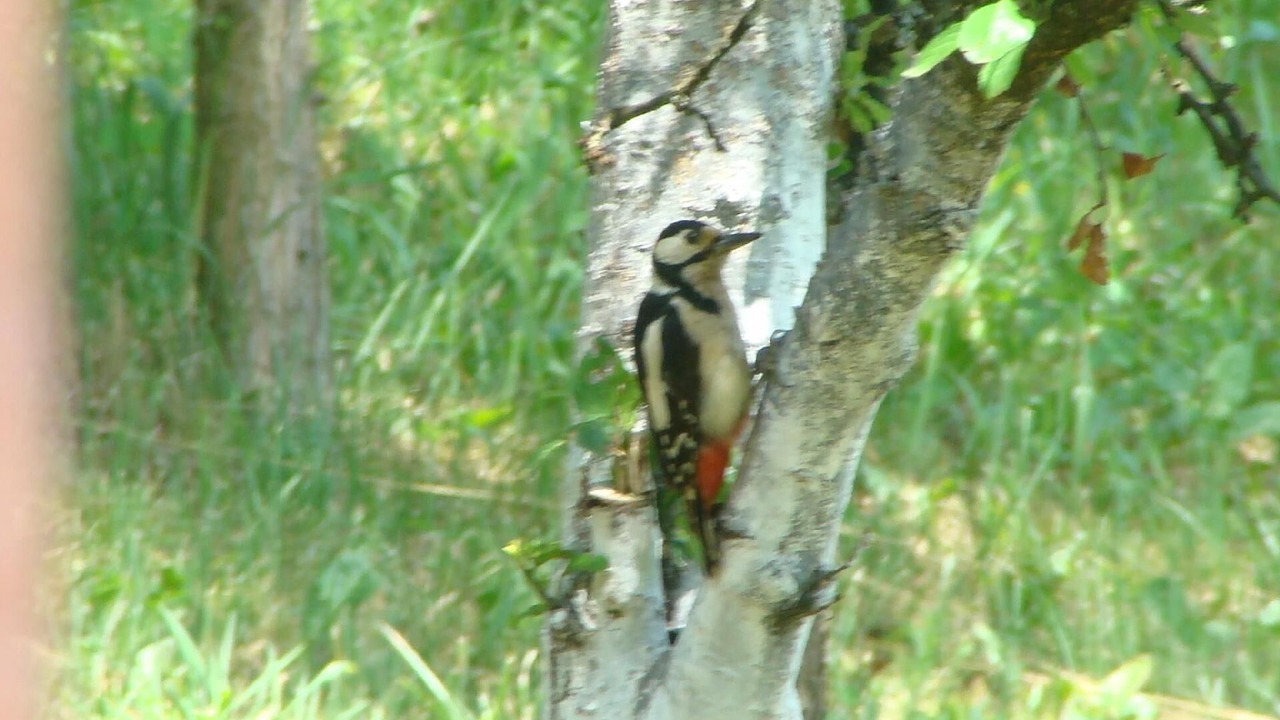 Photo of Others in Sisak-Moslavina