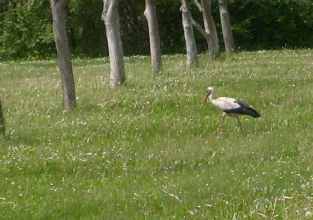 Photo of Others in Sisak-Moslavina