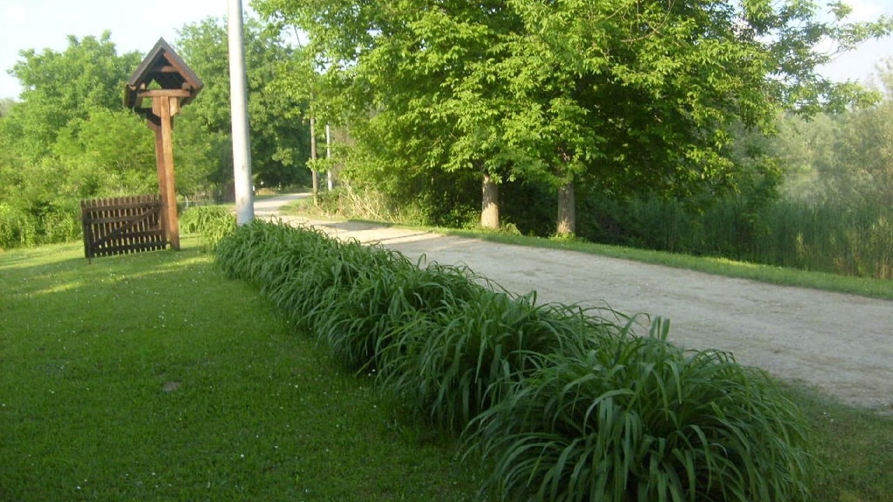 Photo of Outdoor in Sisak-Moslavina