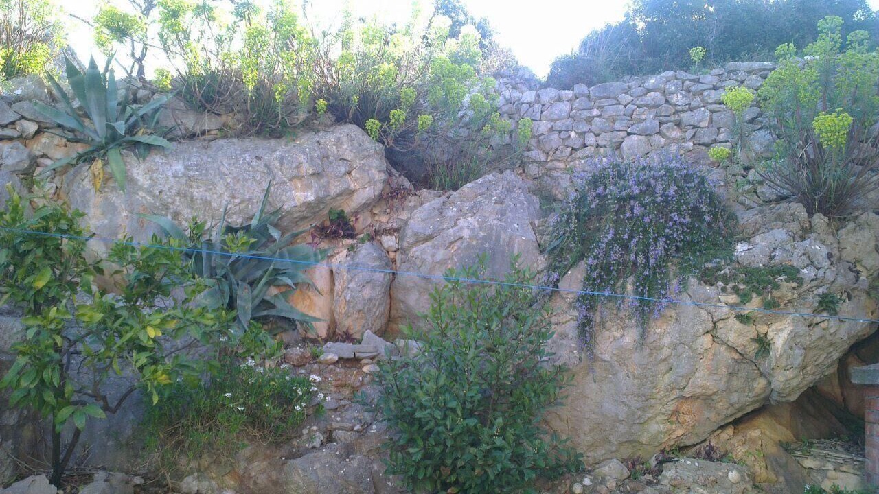 Photo of Outdoor in Bobovisca
