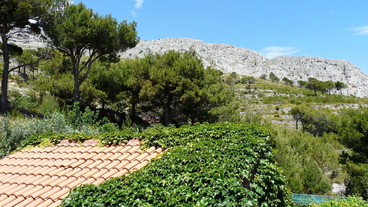 Photo of Outdoor in Duce