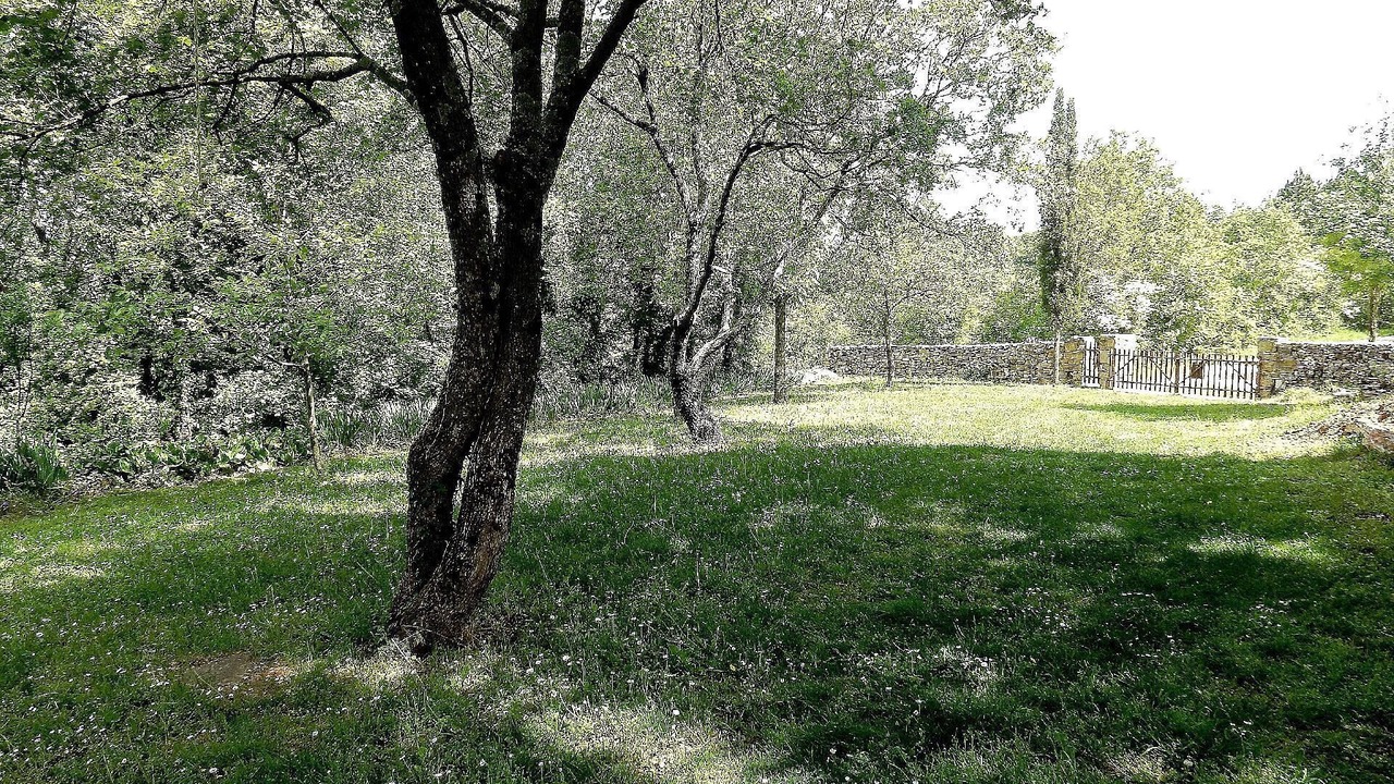 Photo of Outdoor in Momjan