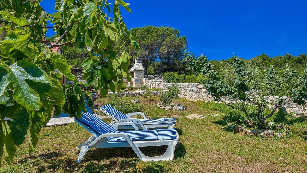 Photo of Outdoor in Dragove