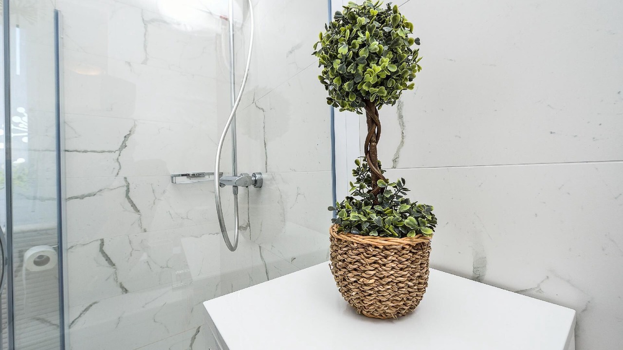 Photo of Bathroom in Dragove