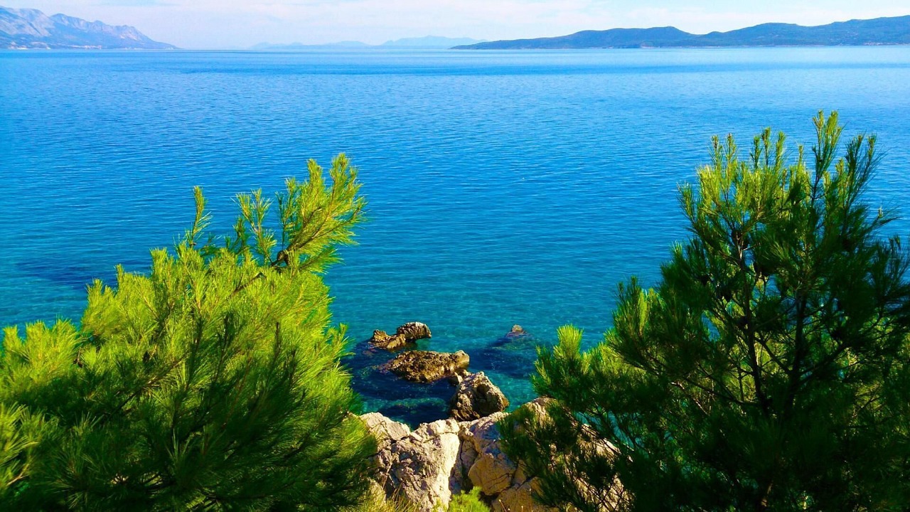 Photo of Others in Marusici