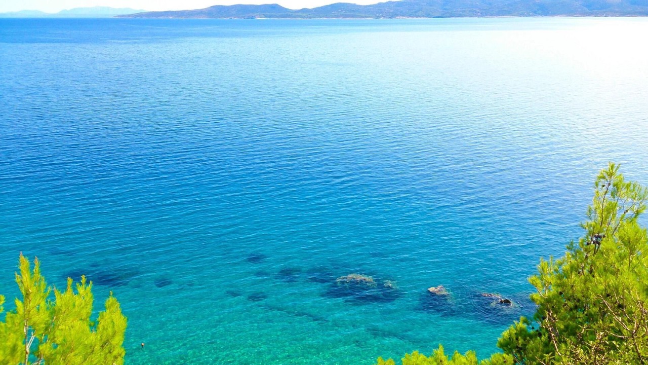 Photo of Others in Marusici