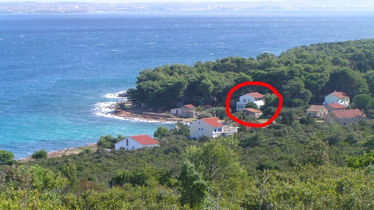 Photo of Others in Susica