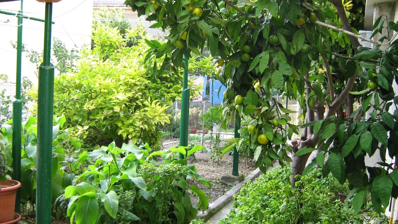 Photo of Outdoor in Bacvice