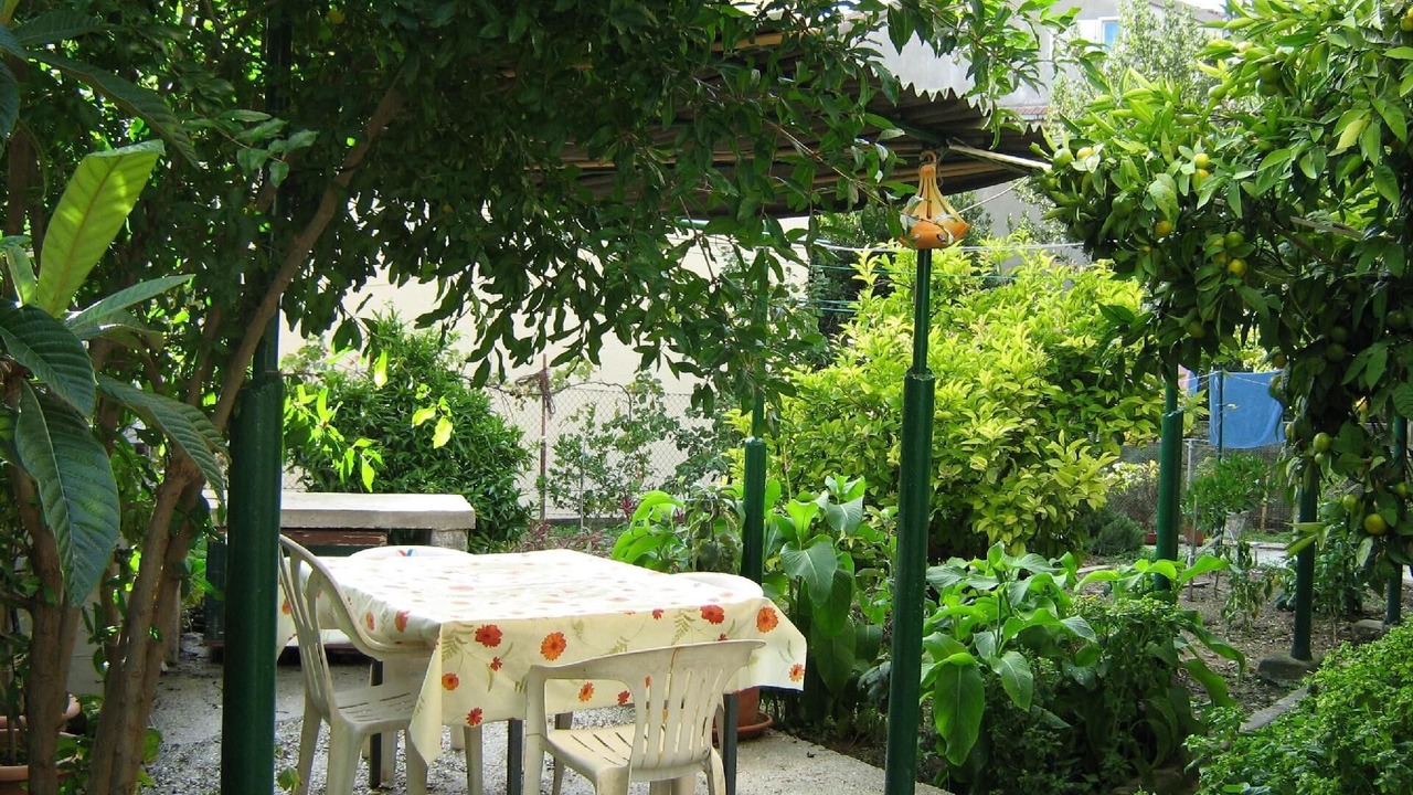 Photo of Outdoor in Bacvice