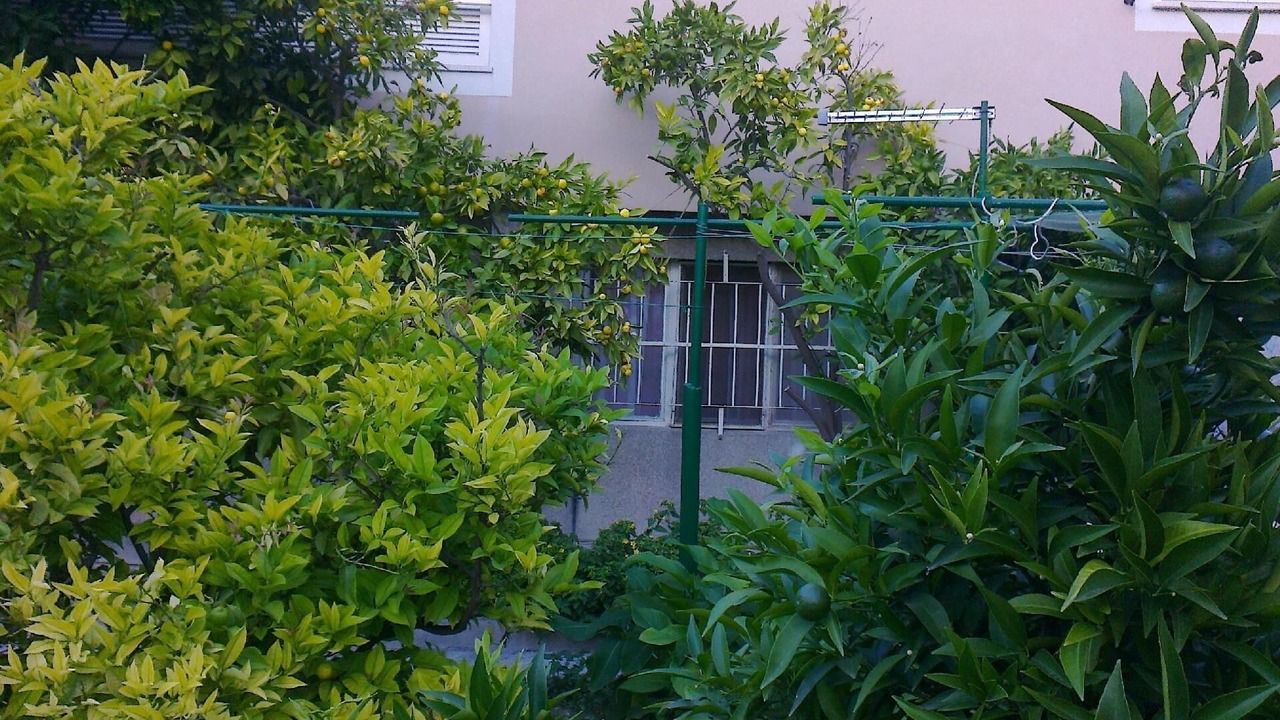Photo of Outdoor in Bacvice