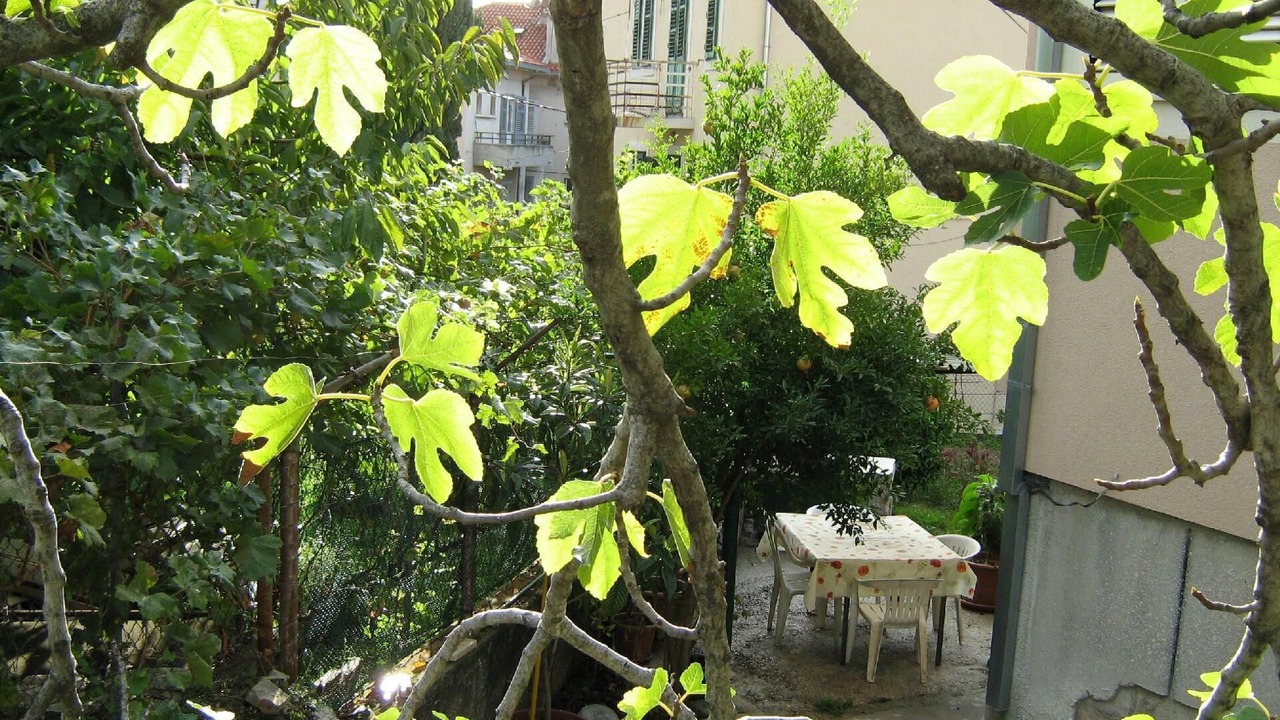 Photo of Outdoor in Bacvice