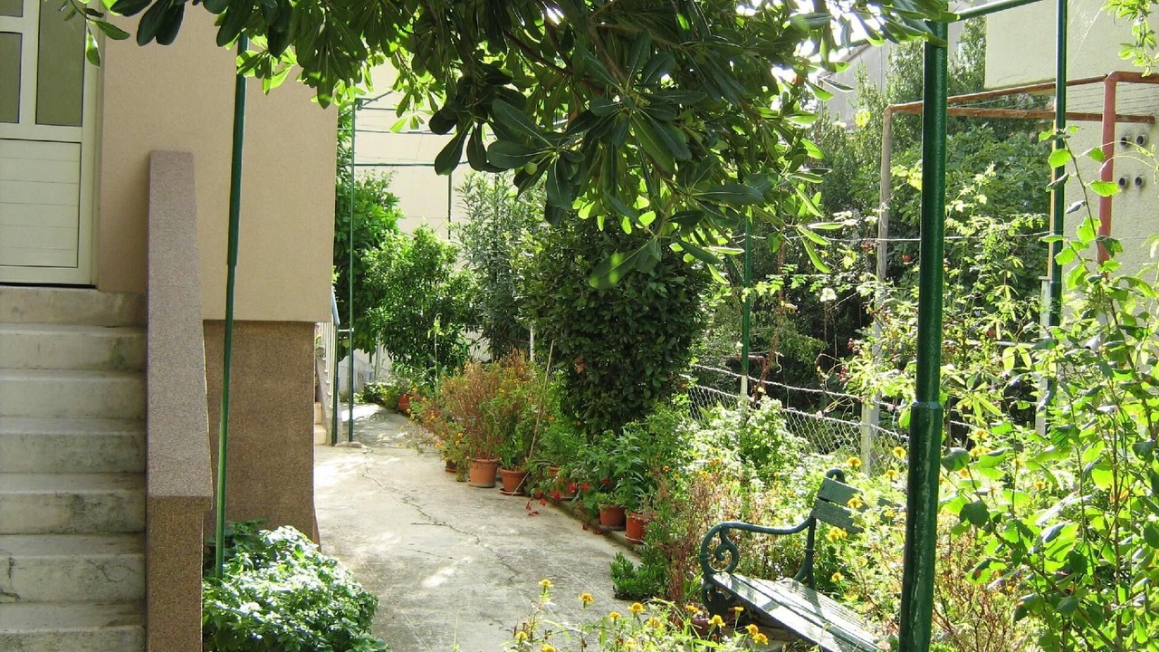 Photo of Others in Bacvice
