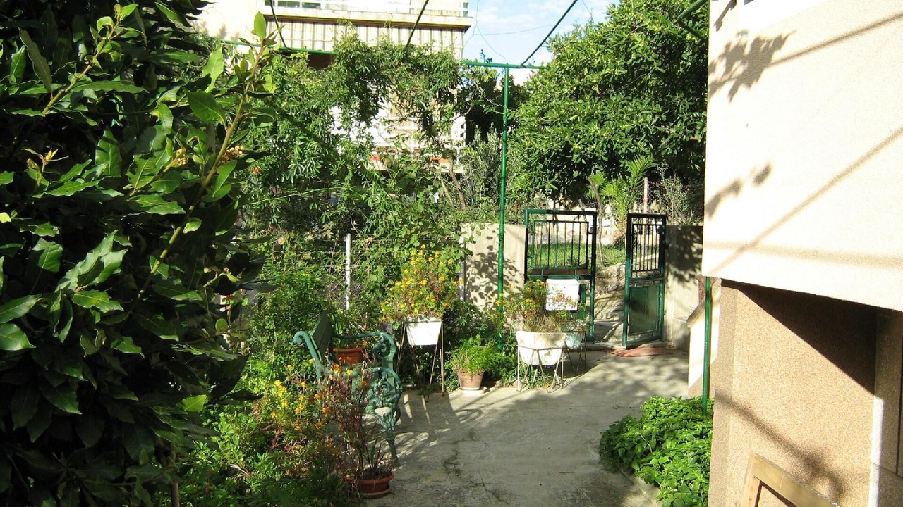 Photo of Others in Bacvice