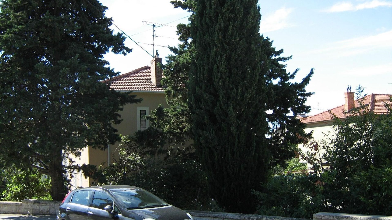 Photo of Others in Bacvice