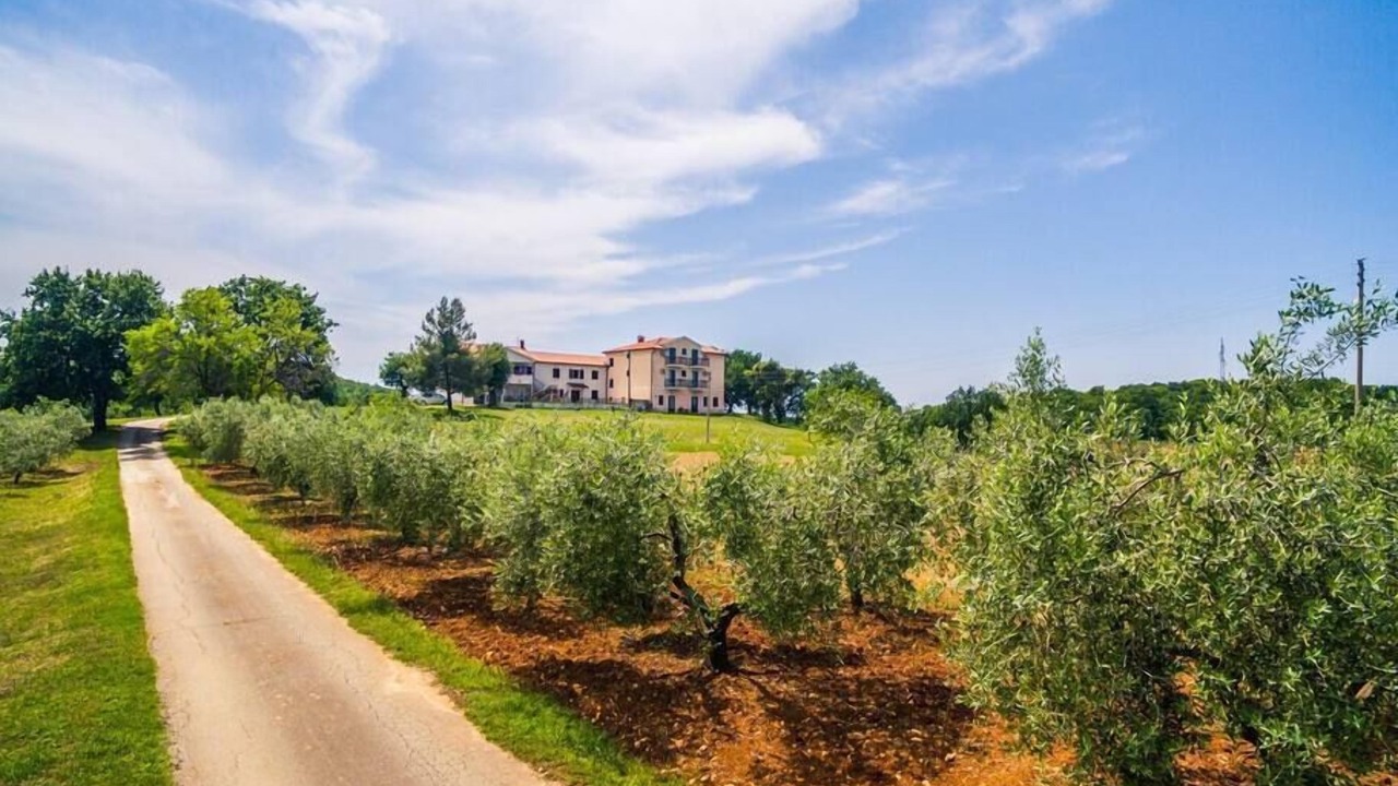 Photo of Outdoor in Vrvari