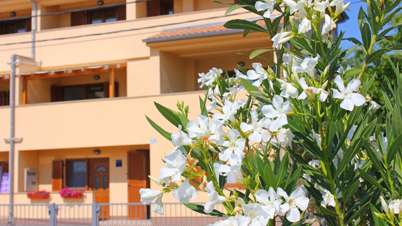 Photo of Outdoor in Klimno