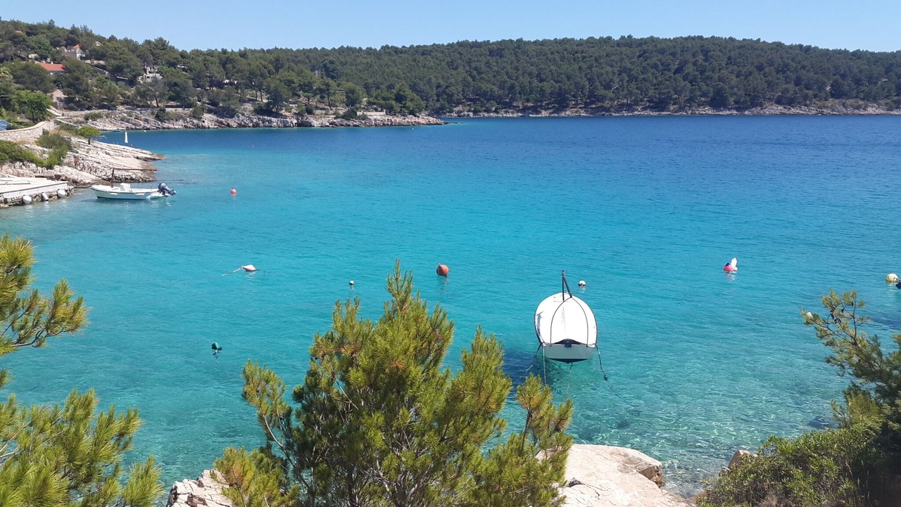 Photo of Others in Milna (Brac)