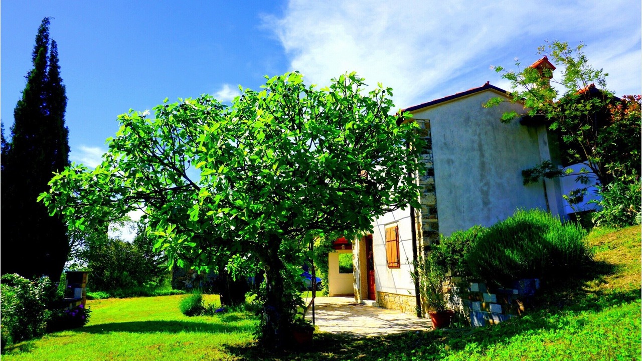 Photo of Outdoor in Piran