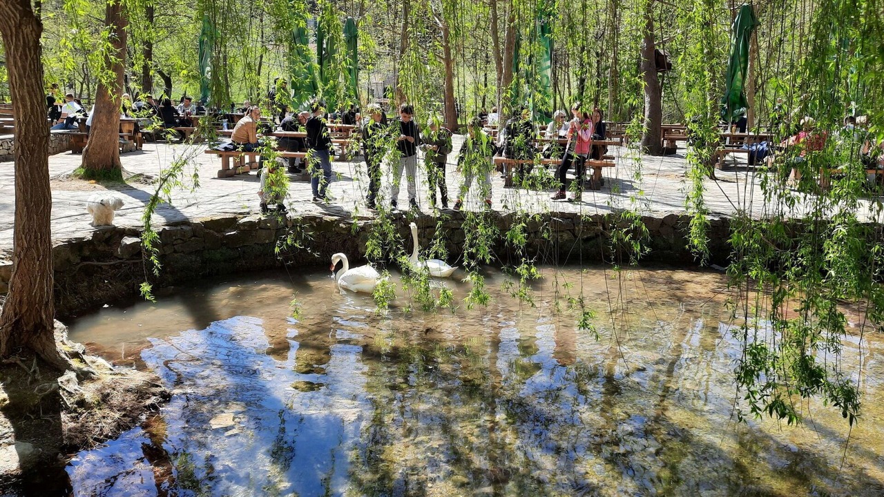 Photo of Others in Drinovci