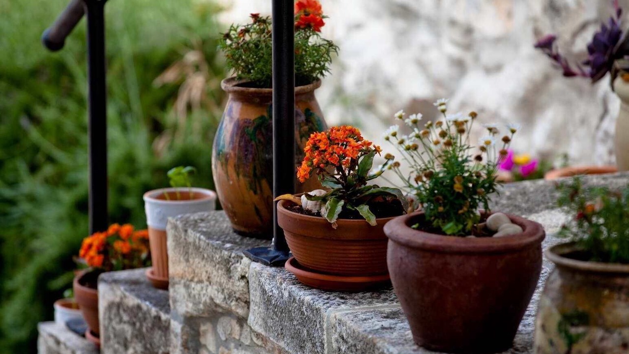 Photo of Outdoor in Dol