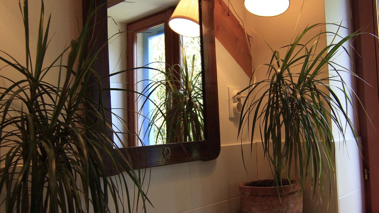 Photo of Bathroom in Dol