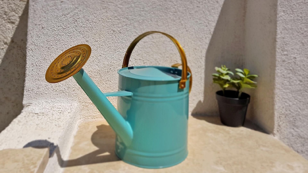 Photo of Others in Muzini