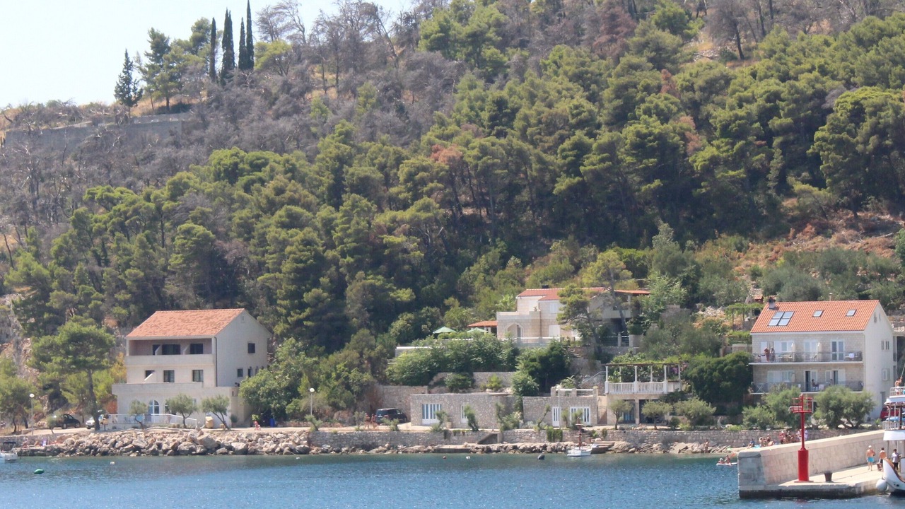 Photo of Outdoor in Trstenik