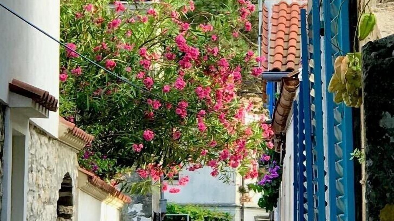 Photo of Outdoor in Susak