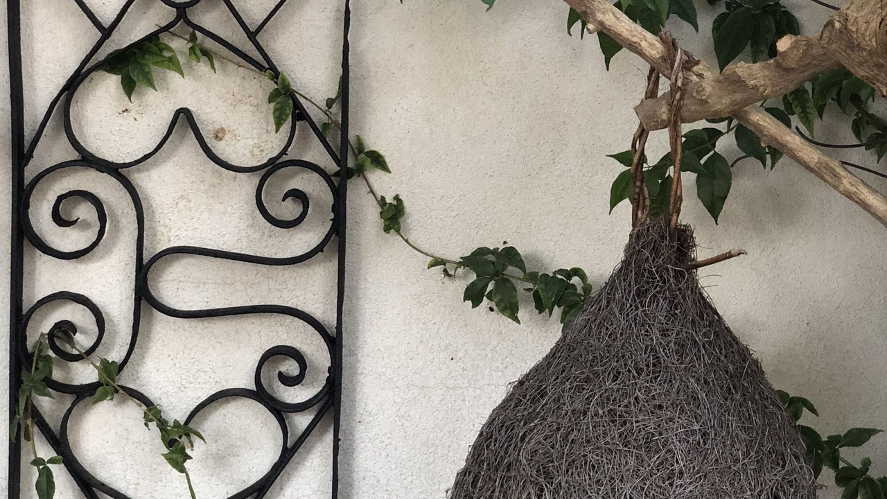 Photo of Outdoor in Susak