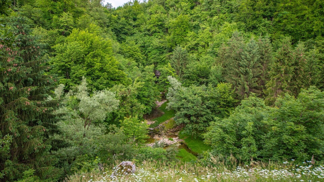 Photo of Others in Tounj