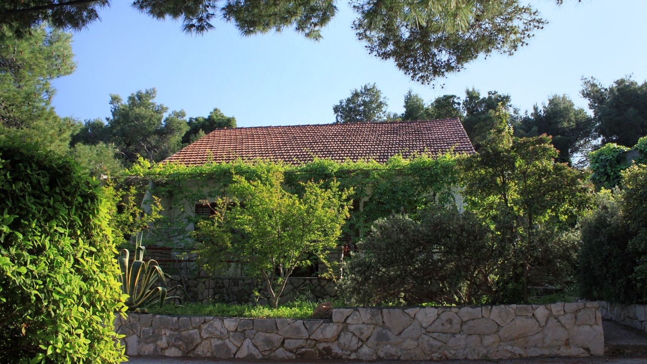 Photo of Outdoor in Cove Basina (Jelsa)