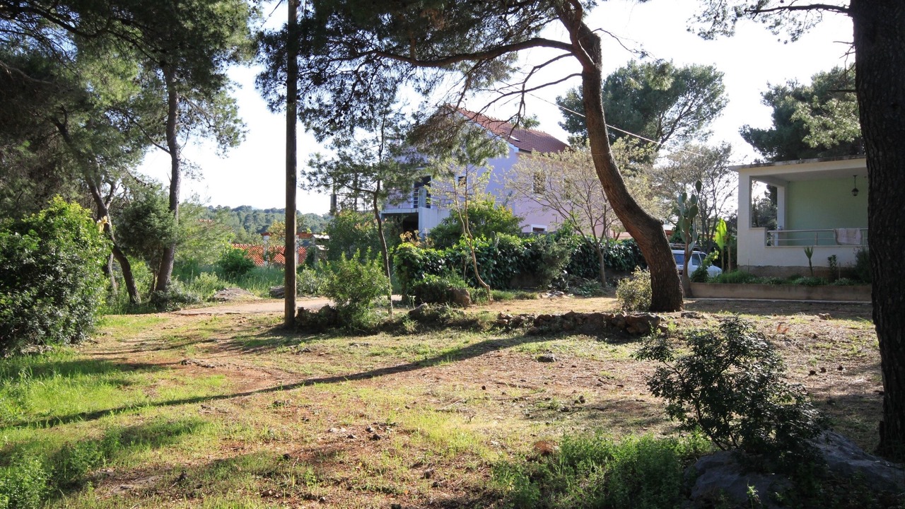 Photo of Others in Cove Basina (Jelsa)