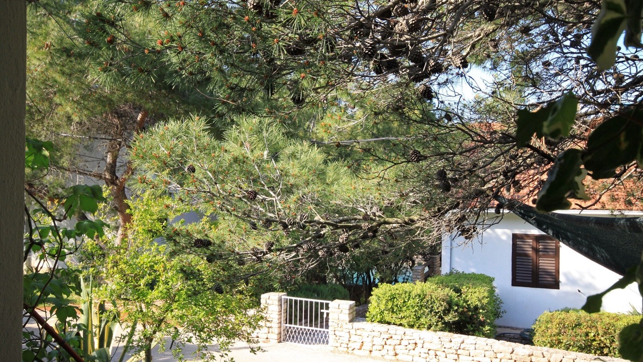 Photo of Others in Cove Basina (Jelsa)