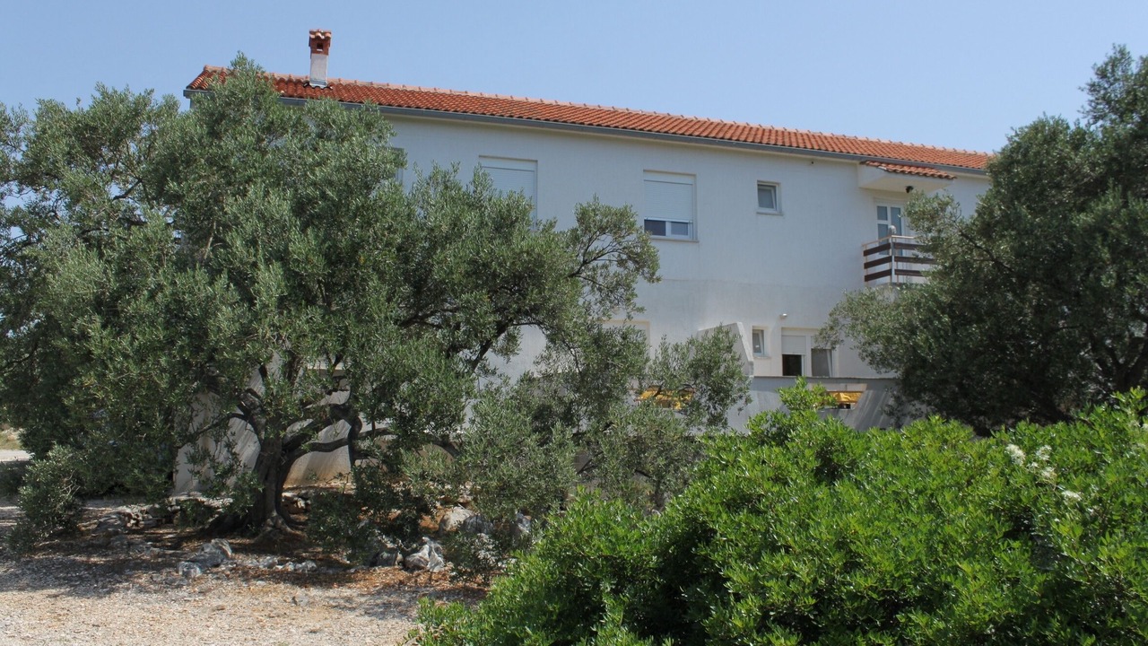 Photo of Outdoor in Bozava