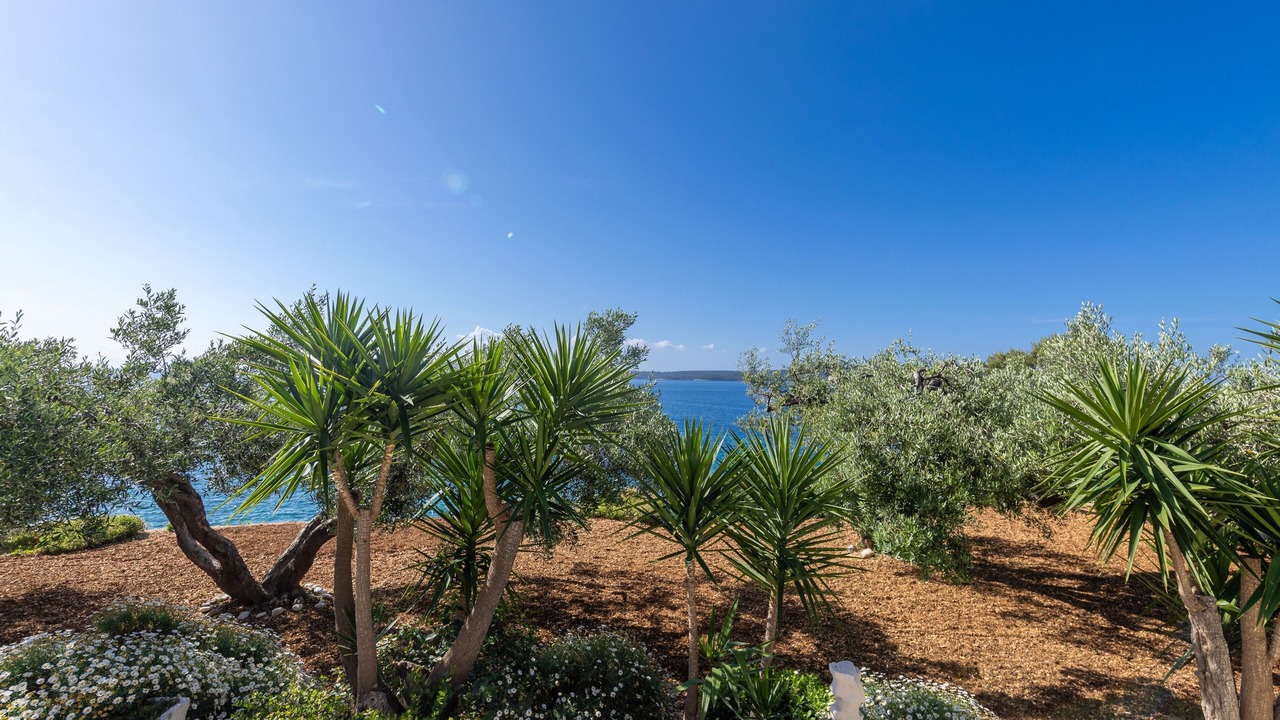 Photo of Outdoor in Zavala