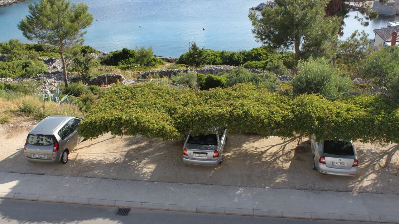 Photo of Others in Cove Murtar