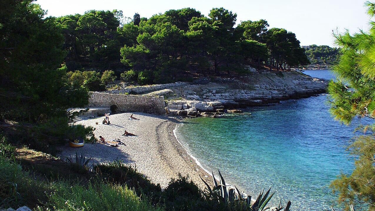 Photo of Others in Cove Rogacic