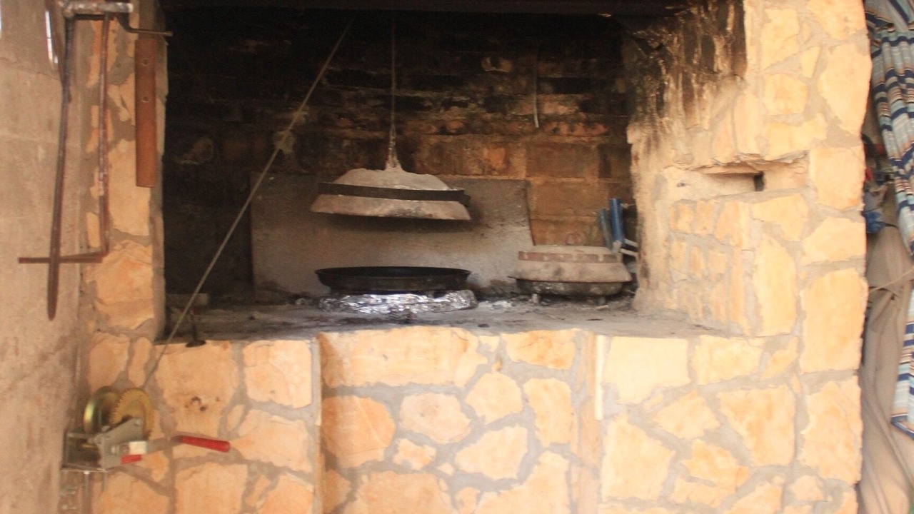 Photo of Outdoor in Cove Rogacic