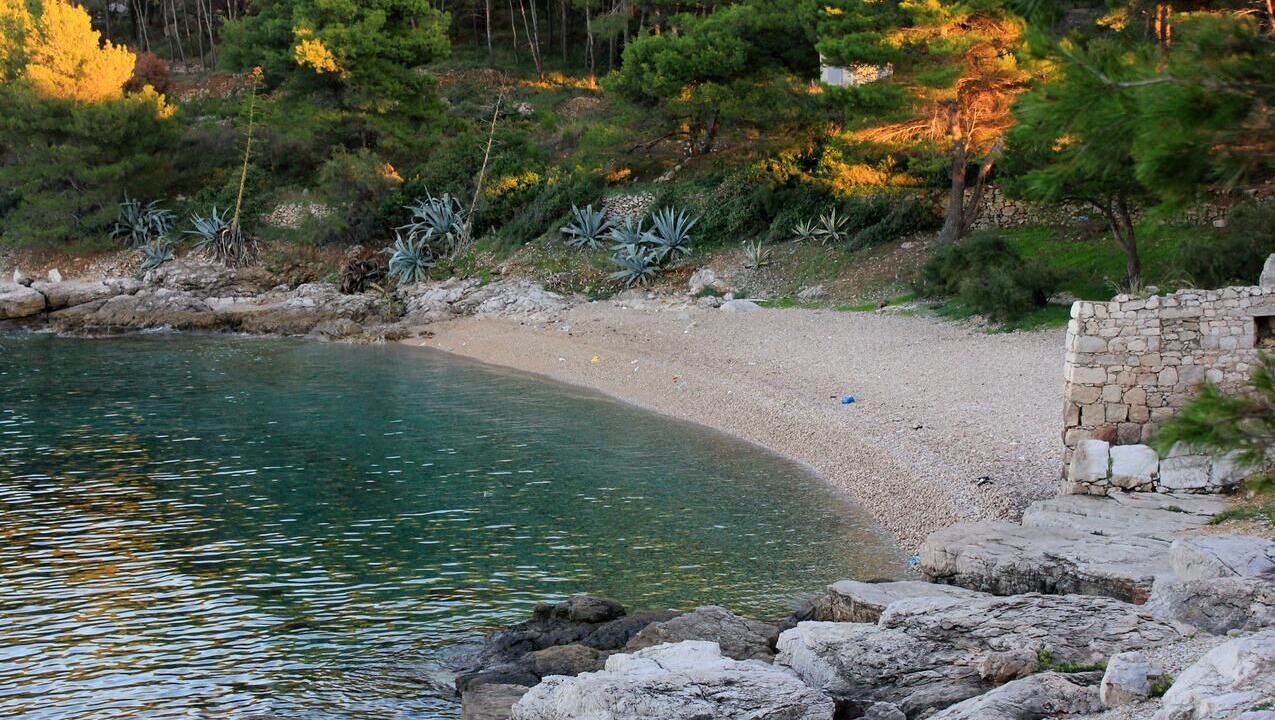 Photo of Others in Cove Rogacic