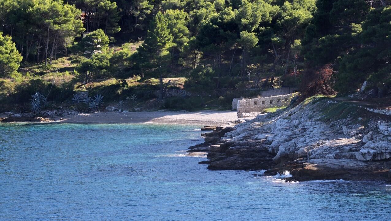 Photo of Others in Cove Rogacic
