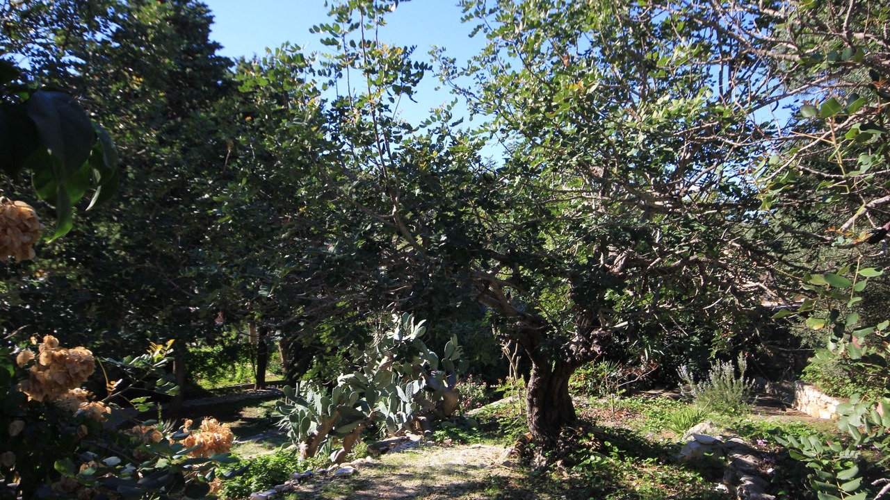 Photo of Others in Cove Rogacic